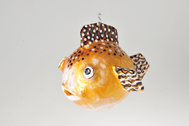 Kugelfisch in Gold als Sparkässeli